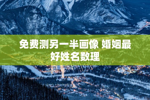 免费测另一半画像 婚姻最好姓名数理