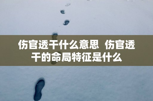 伤官透干什么意思  伤官透干的命局特征是什么