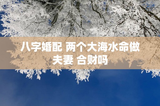 八字婚配 两个大海水命做夫妻 合财吗