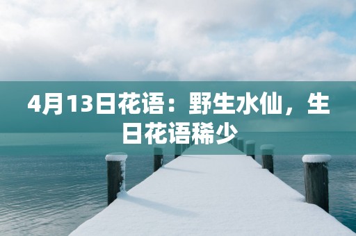 4月13日花语：野生水仙，生日花语稀少