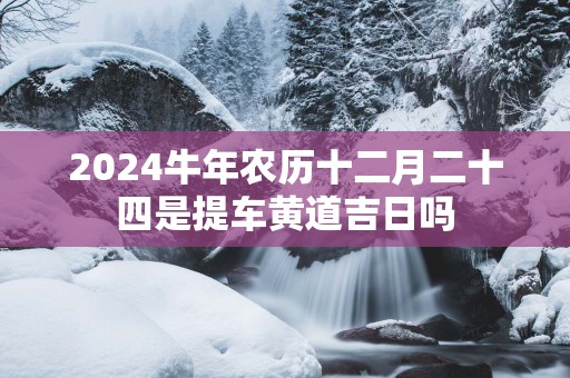 2025蛇年农历十二月二十四是提车黄道吉日吗