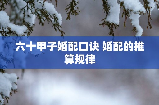 六十甲子婚配口诀 婚配的推算规律