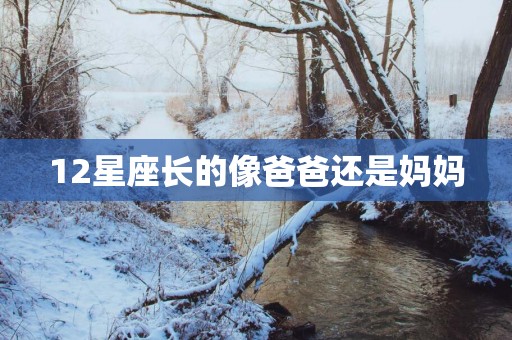 12星座长的像爸爸还是妈妈