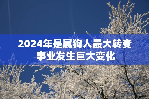 2025年是属狗人最大转变 事业发生巨大变化