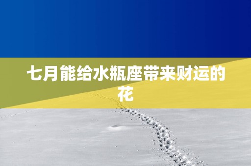 七月能给水瓶座带来财运的花