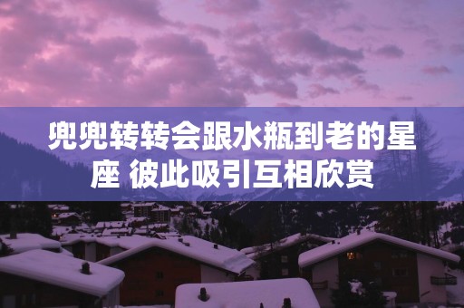 兜兜转转会跟水瓶到老的星座 彼此吸引互相欣赏