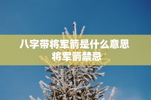 八字带将军箭是什么意思  将军箭禁忌
