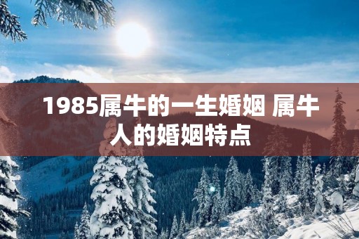 1985属牛的一生婚姻 属牛人的婚姻特点