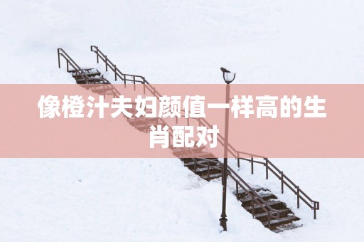 像橙汁夫妇颜值一样高的生肖配对