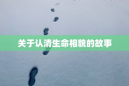 关于认清生命相貌的故事