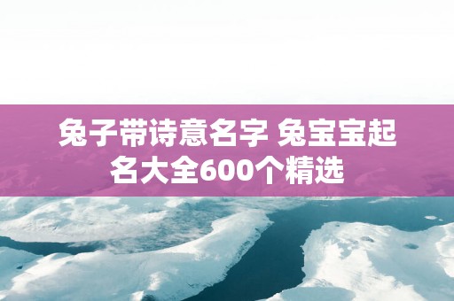 兔子带诗意名字 兔宝宝起名大全600个精选