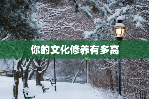 你的文化修养有多高