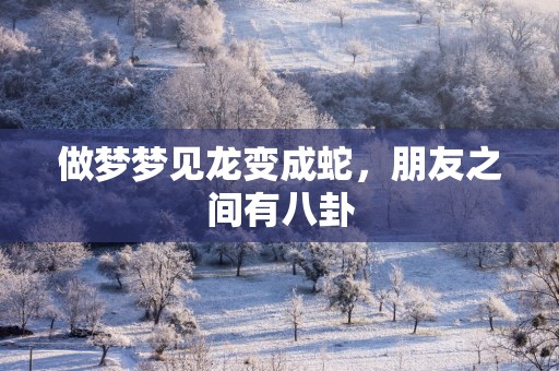 做梦梦见龙变成蛇，朋友之间有八卦