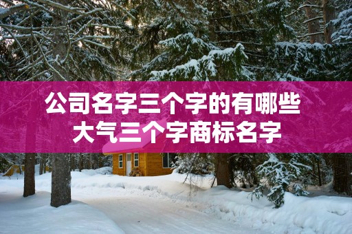 公司名字三个字的有哪些 大气三个字商标名字