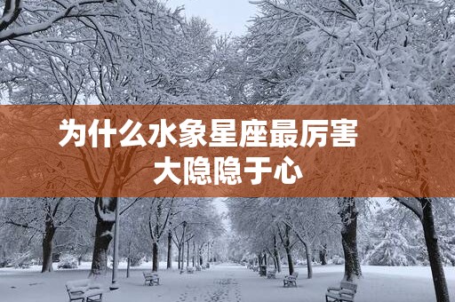 为什么水象星座最厉害 大隐隐于心