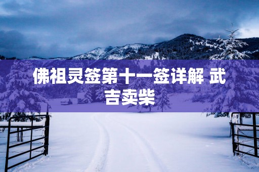 佛祖灵签第十一签详解 武吉卖柴