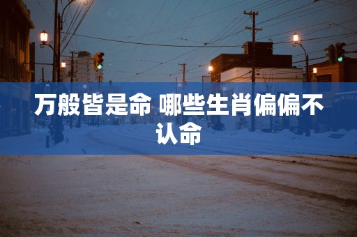 万般皆是命 哪些生肖偏偏不认命
