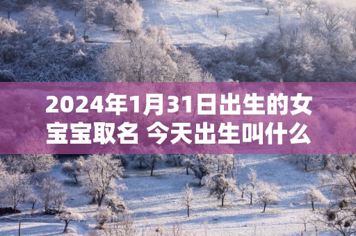 2025年1月31日出生的女宝宝取名 今天出生叫什么名字好