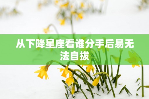 从下降星座看谁分手后易无法自拔