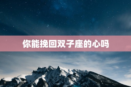 你能挽回双子座的心吗