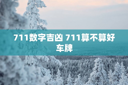 711数字吉凶 711算不算好车牌