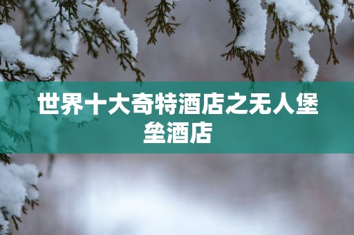 世界十大奇特酒店之无人堡垒酒店