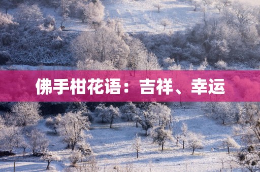 佛手柑花语：吉祥、幸运