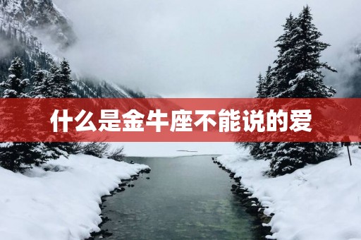 什么是金牛座不能说的爱