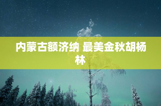 内蒙古额济纳 最美金秋胡杨林