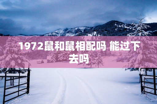 1972鼠和鼠相配吗 能过下去吗