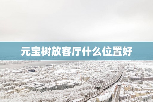 元宝树放客厅什么位置好