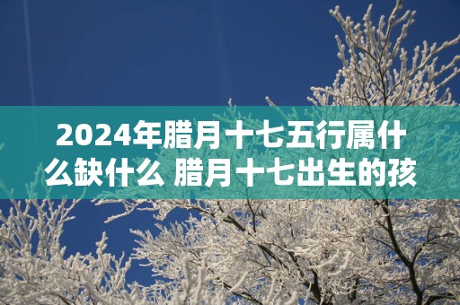 2025年腊月十七五行属什么缺什么 腊月十七出生的孩子好吗