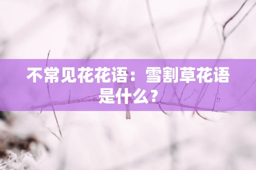 不常见花花语：雪割草花语是什么？