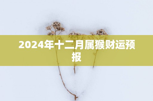 2025年十二月属猴财运预报