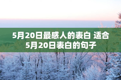 5月20日最感人的表白 适合5月20日表白的句子