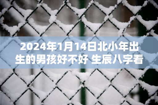 2025年1月14日北小年出生的男孩好不好 生辰八字看命