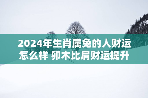 2025年生肖属兔的人财运怎么样 卯木比肩财运提升