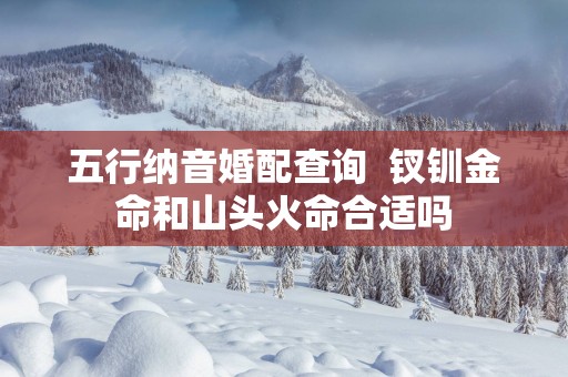 五行纳音婚配查询  钗钏金命和山头火命合适吗