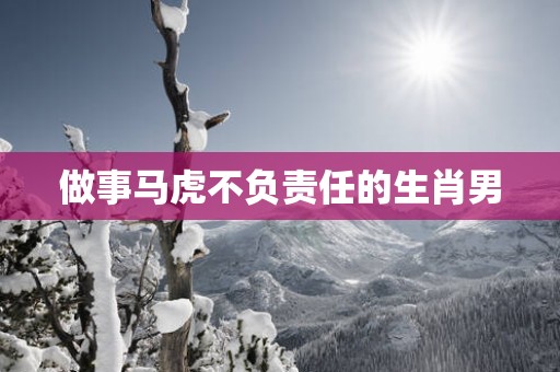 做事马虎不负责任的生肖男