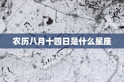 农历八月十四日是什么星座