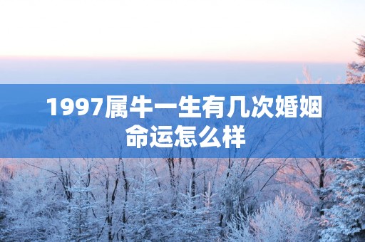 1997属牛一生有几次婚姻 命运怎么样