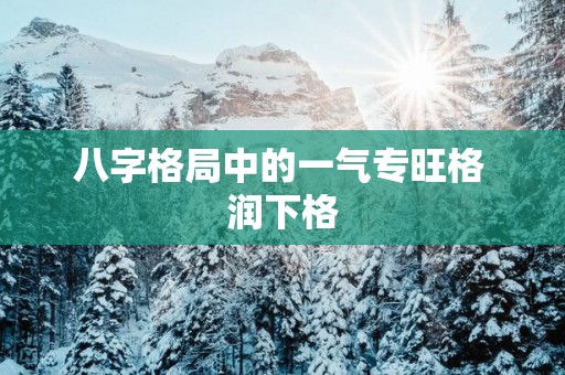 八字格局中的一气专旺格 润下格