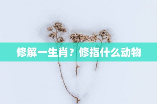 修解一生肖？修指什么动物
