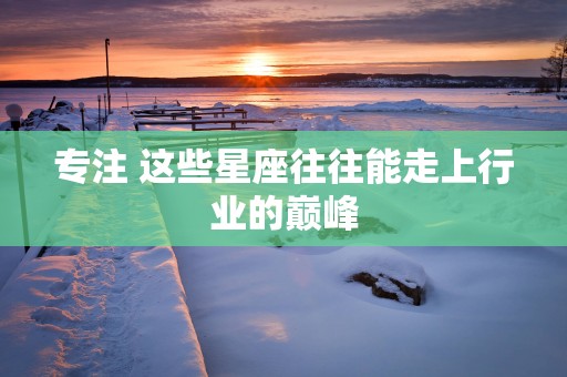 专注 这些星座往往能走上行业的巅峰