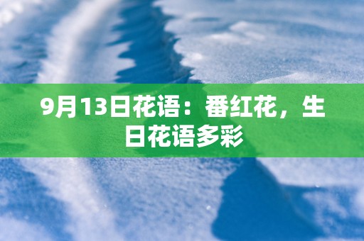9月13日花语：番红花，生日花语多彩