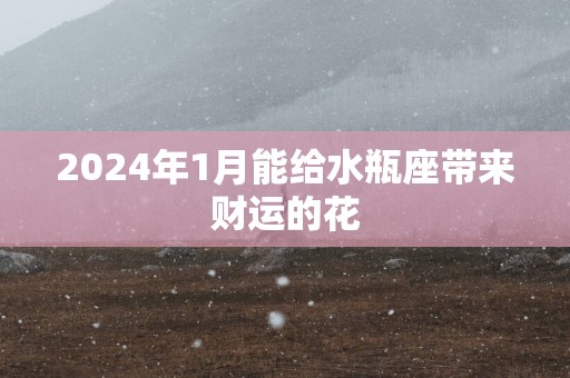2025年1月能给水瓶座带来财运的花