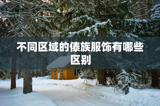 不同区域的傣族服饰有哪些区别