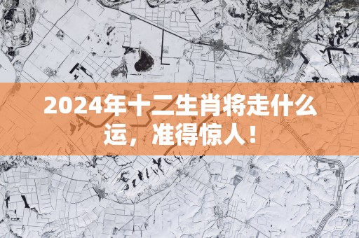 2025年十二生肖将走什么运，准得惊人！