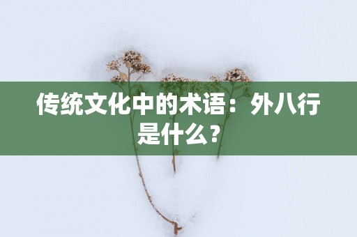 传统文化中的术语：外八行是什么？