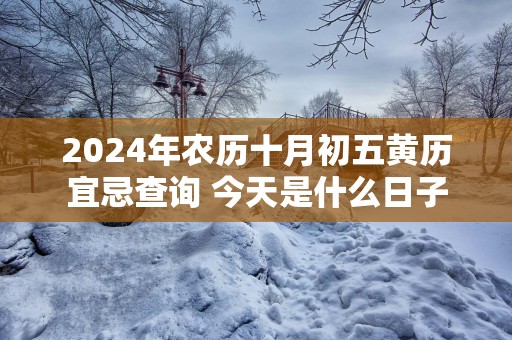 2025年农历十月初五黄历宜忌查询 今天是什么日子